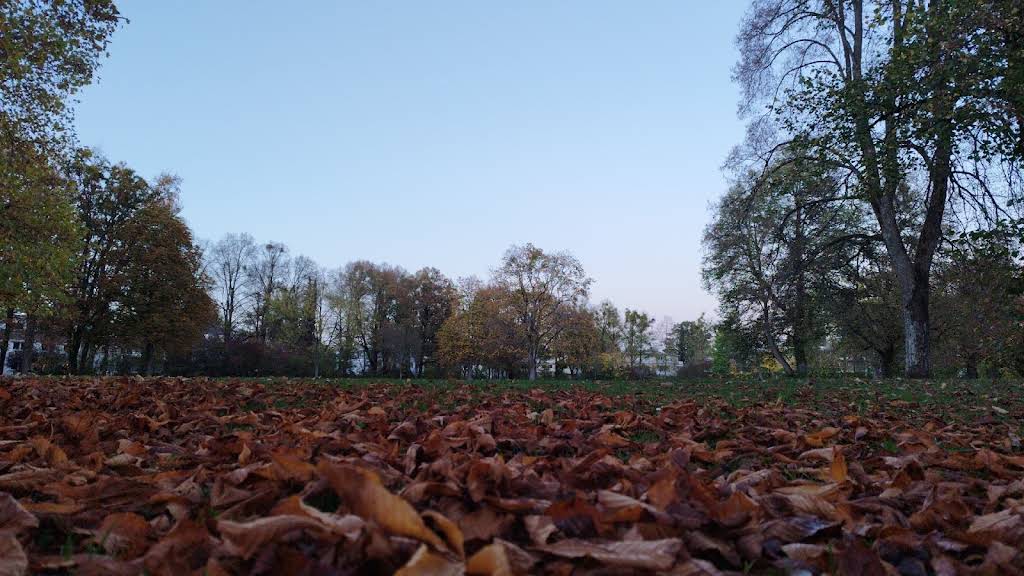 Foto 2 von 3