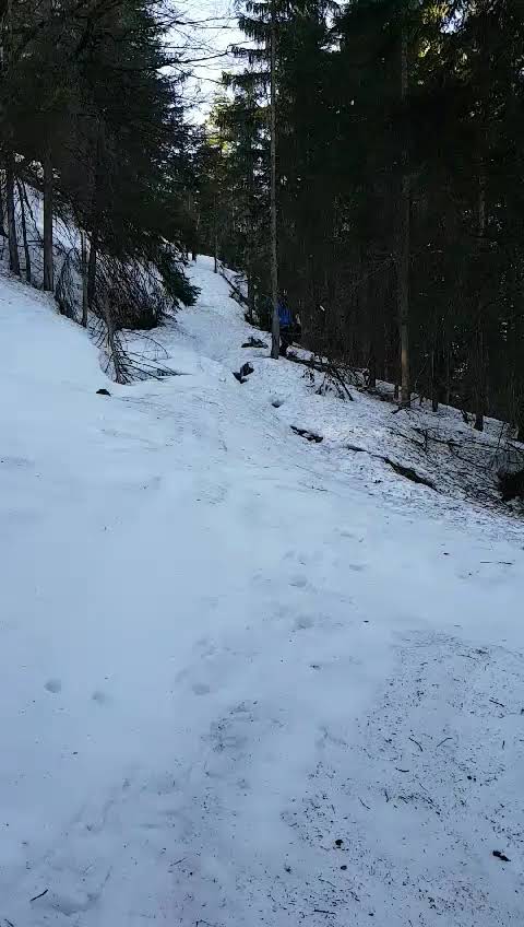 Foto 3 von 3