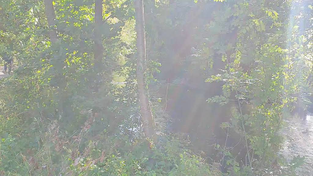 Foto 2 von 3