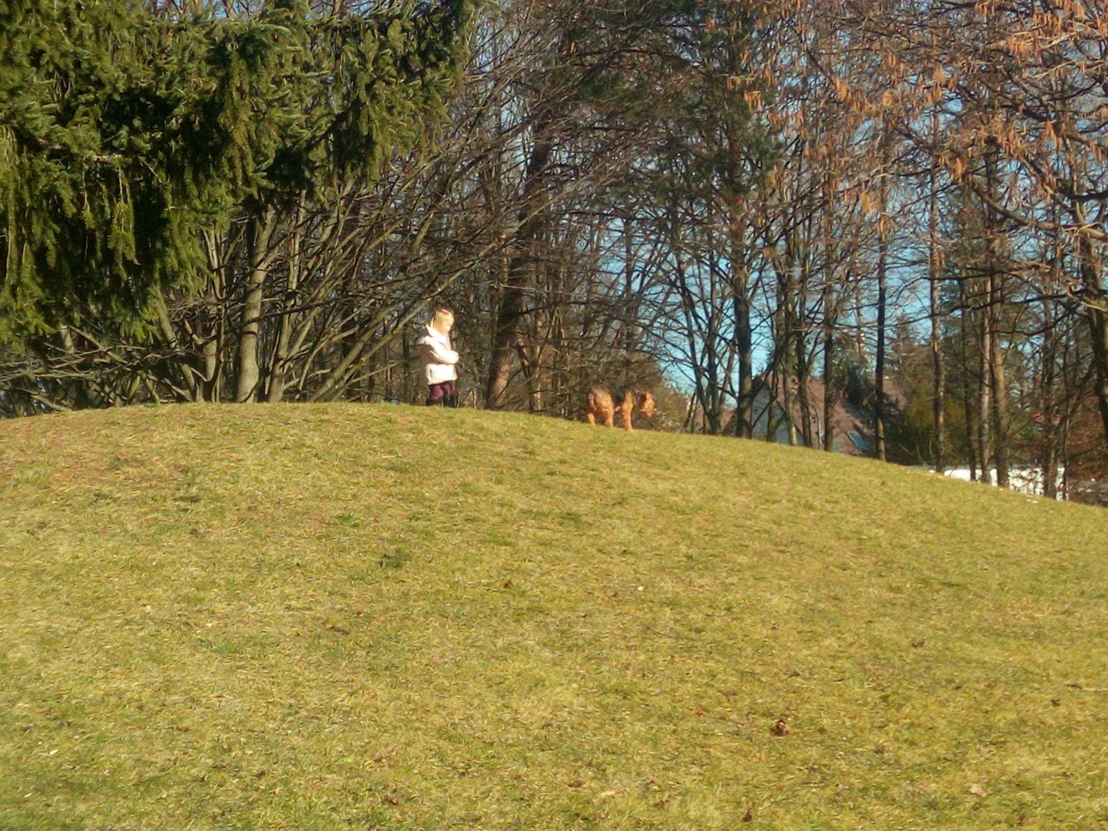 Foto 2 von 3