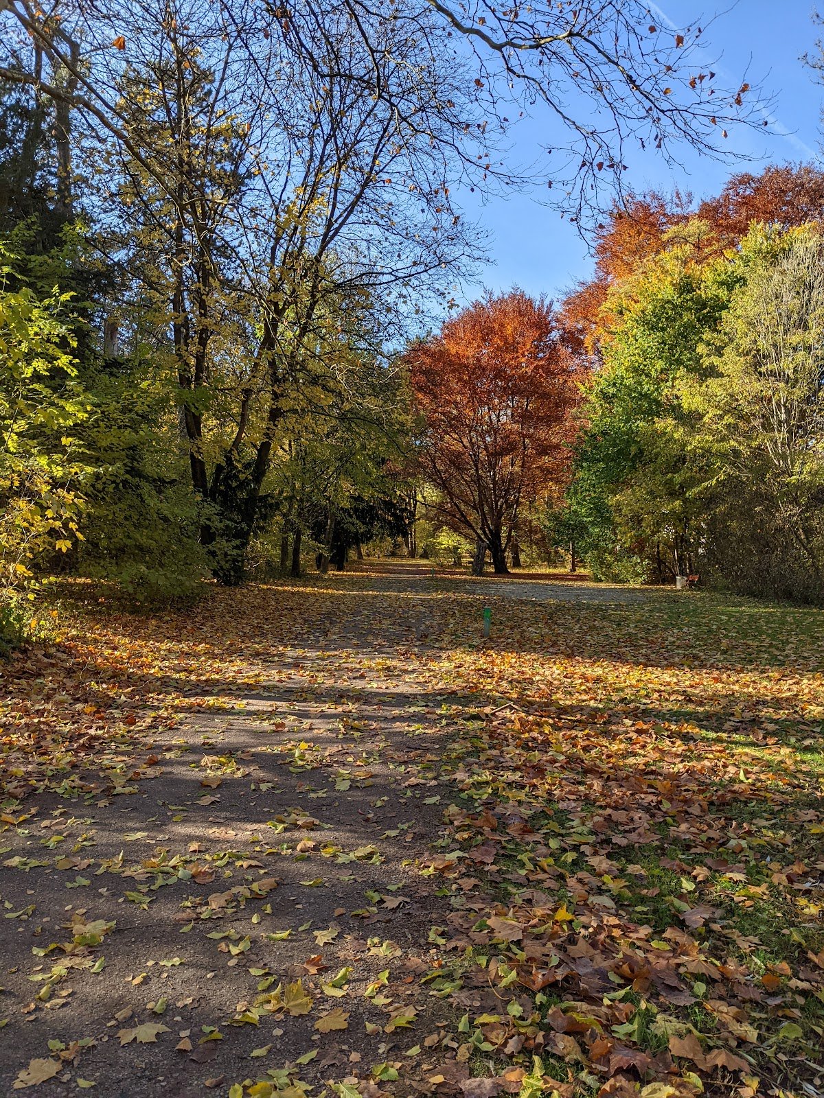 Foto 2 von 3