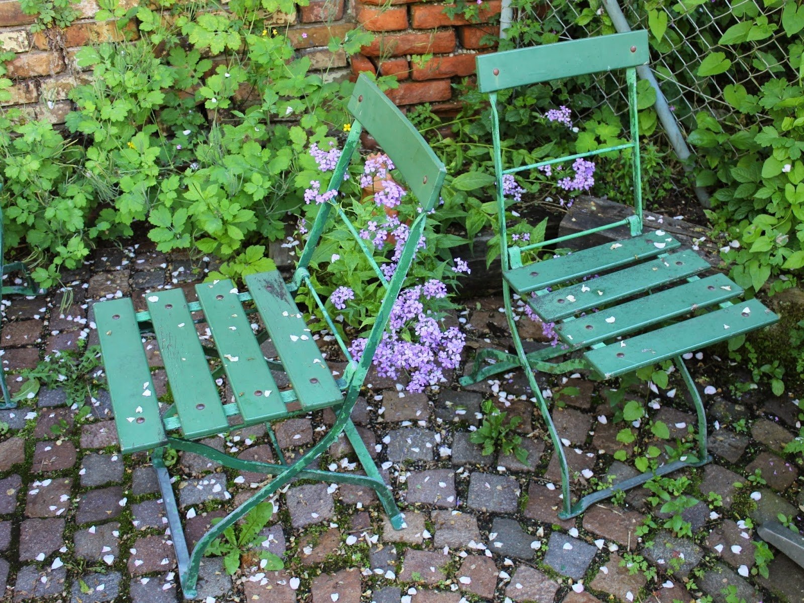 Foto 2 von 3