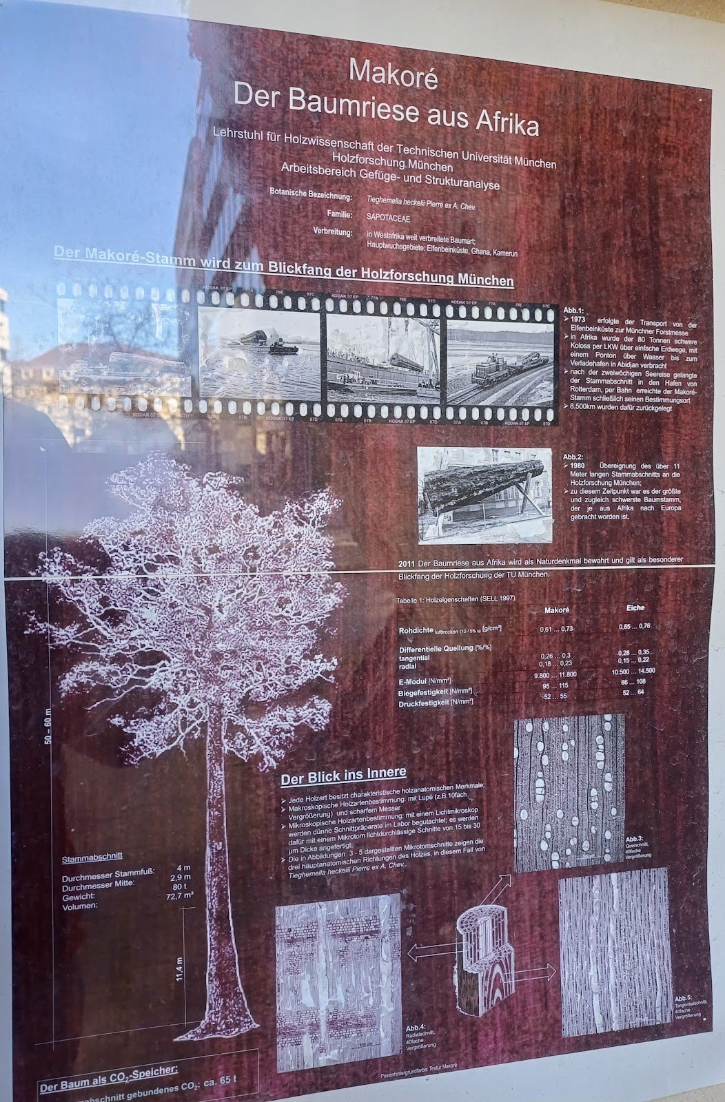 Foto 2 von 3
