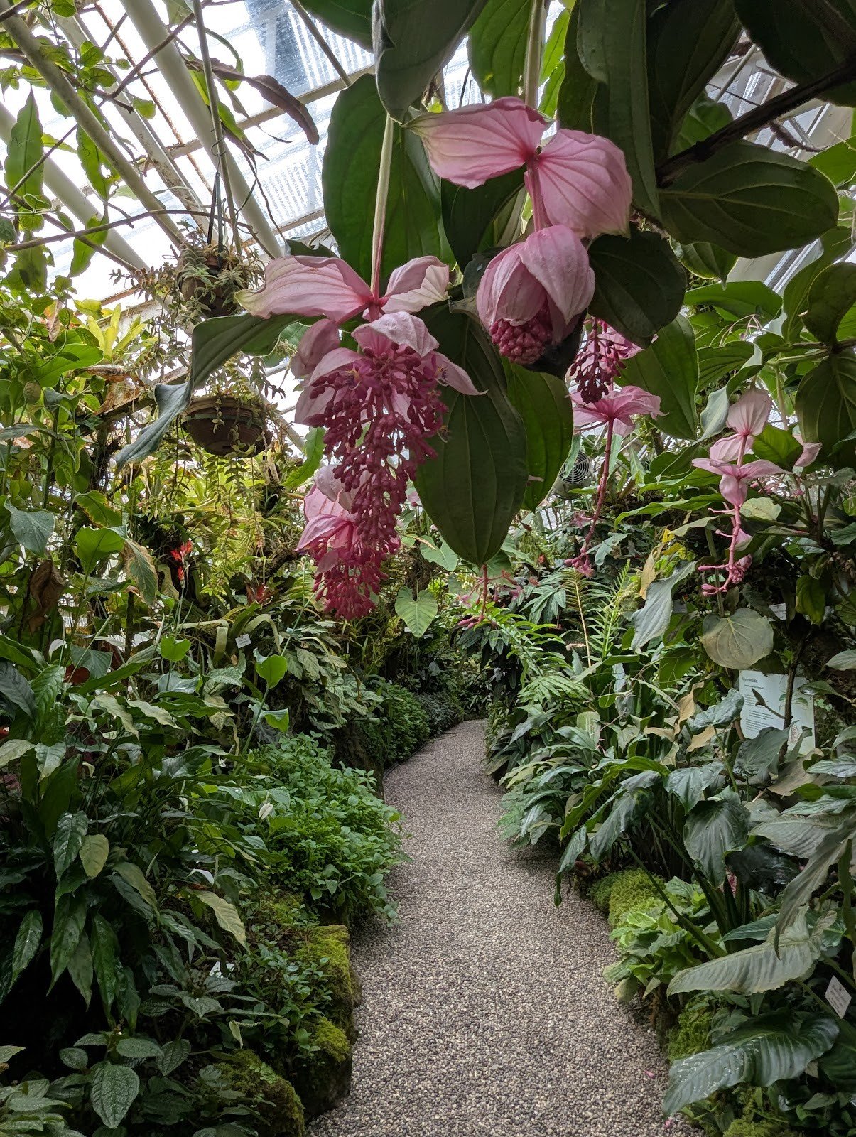 Foto 2 von 3