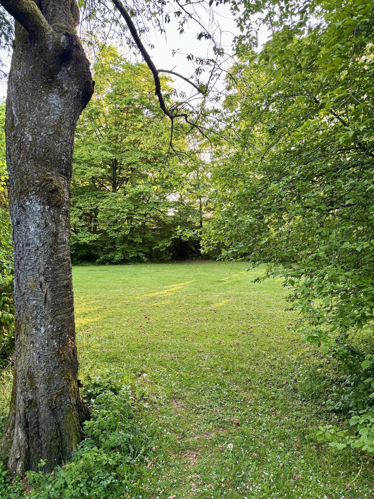 Foto 2 von 3