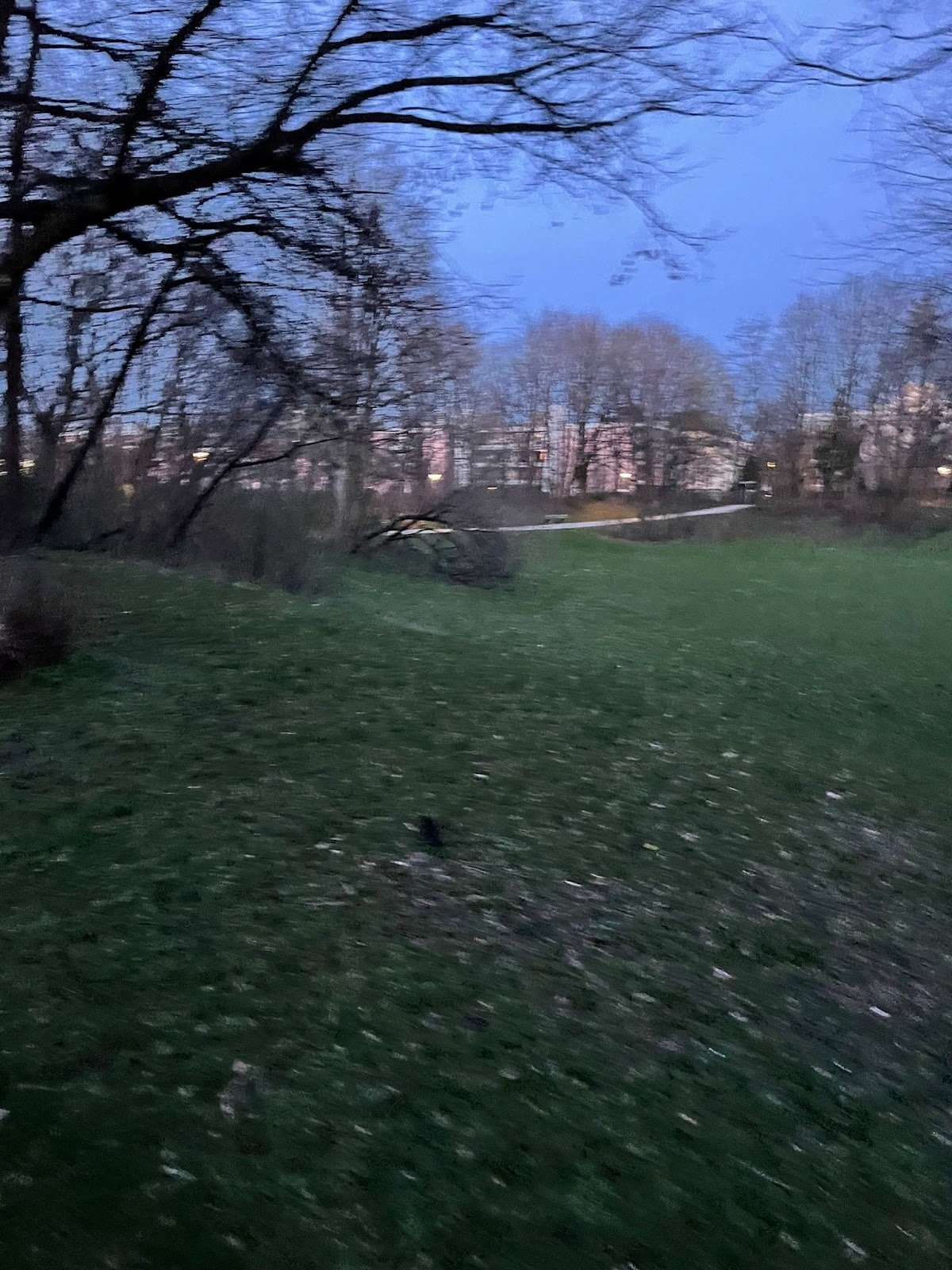 Foto 2 von 3