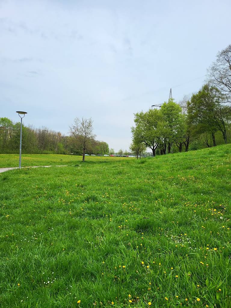 Foto 2 von 3