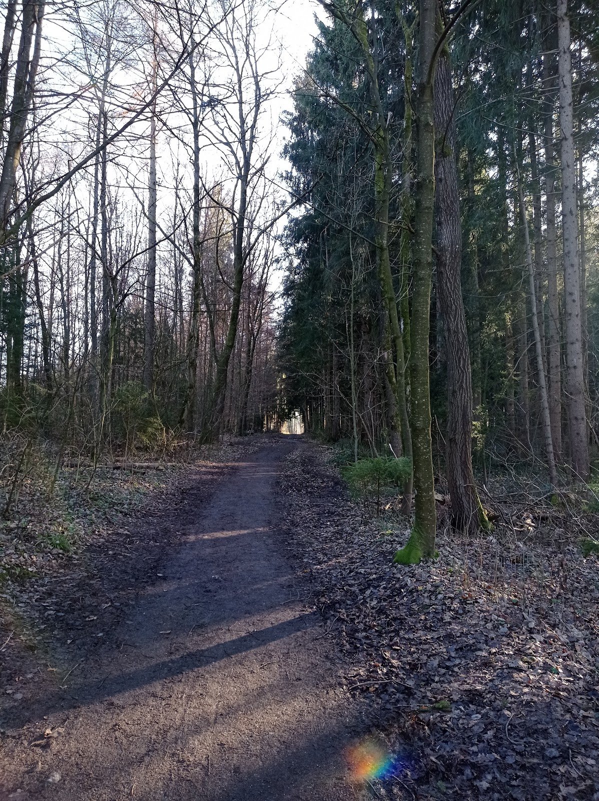 Foto 3 von 3