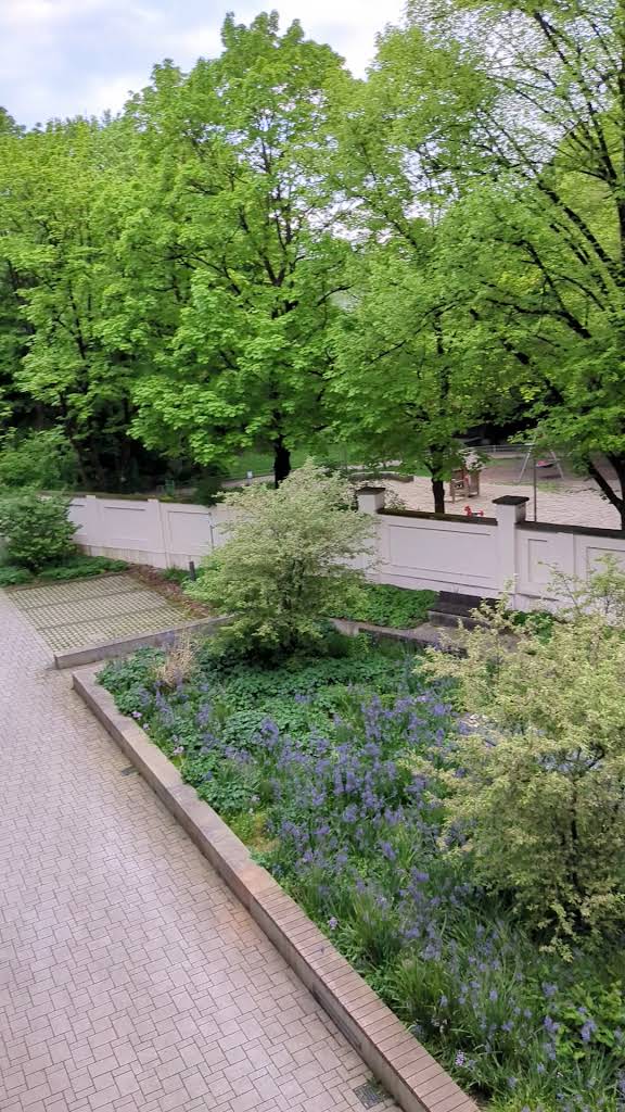 Foto 3 von 3