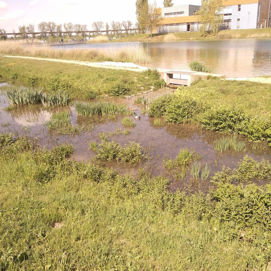 Foto 2 von 3