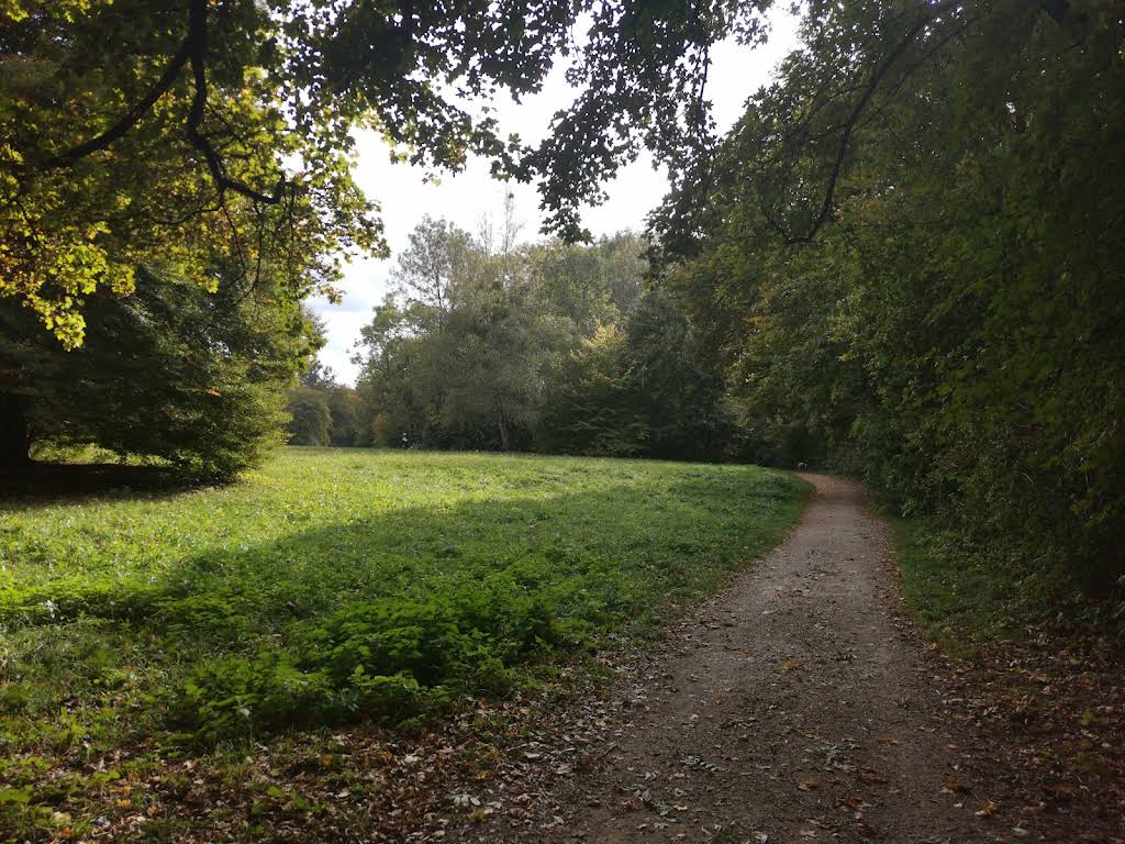Foto 2 von 3